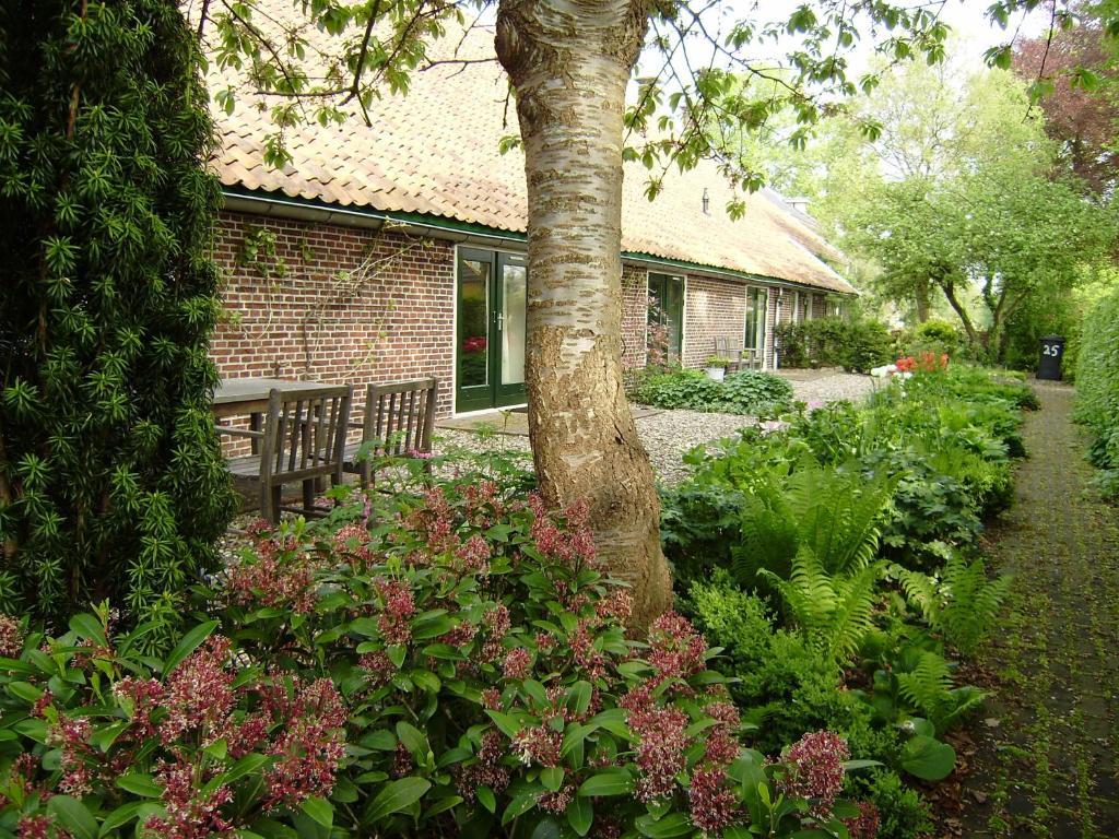 Bed & Breakfast Uiterburen Zuidbroek Exterior photo